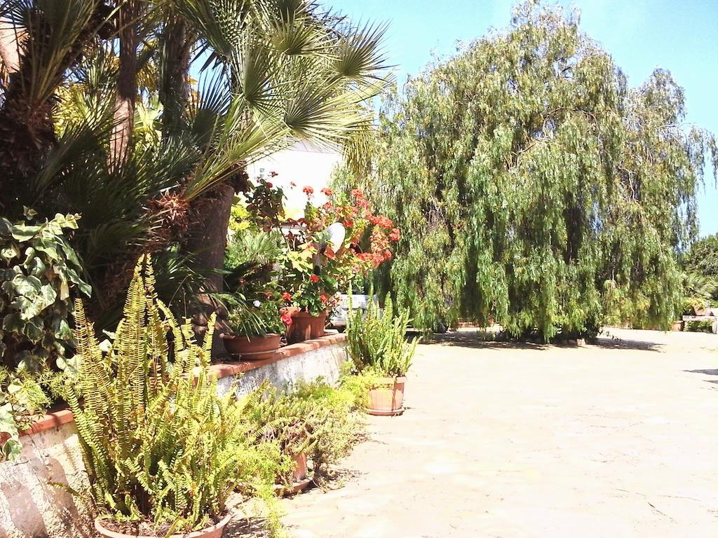 Nonnasara Bed And Breakfast Valderice Luaran gambar