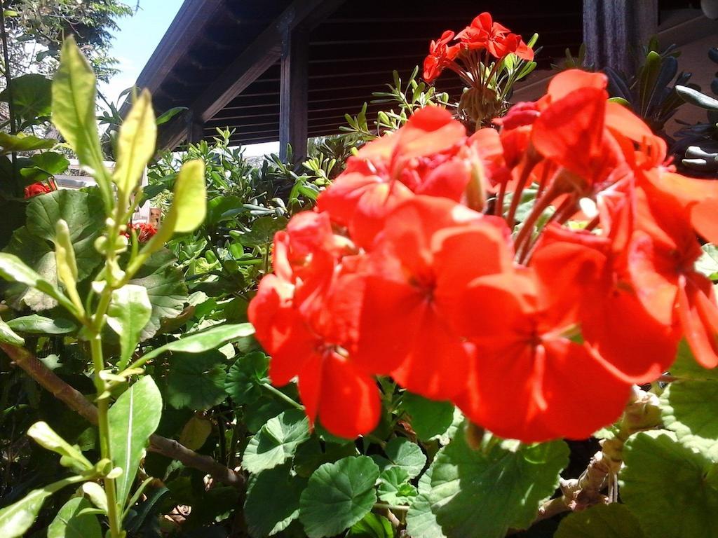 Nonnasara Bed And Breakfast Valderice Luaran gambar